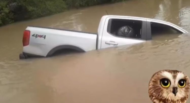 : reprodução/Voz da Coruja