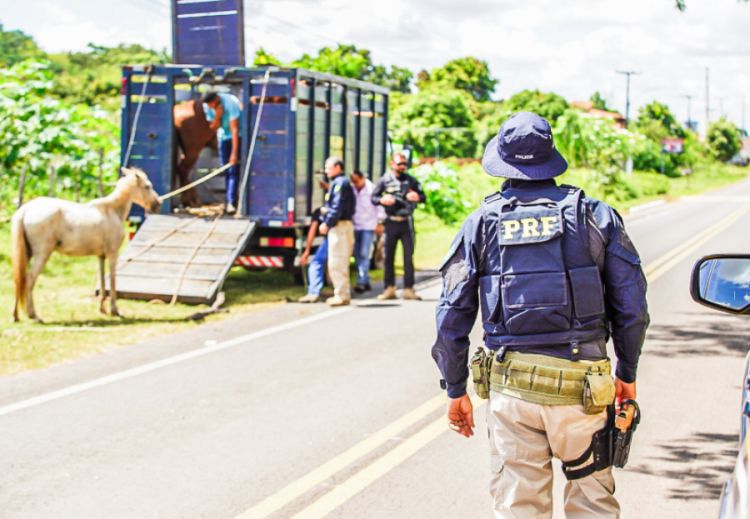 : reprodução/SSP-PI