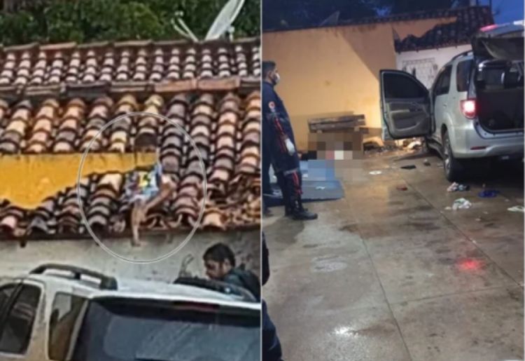 : reprodução