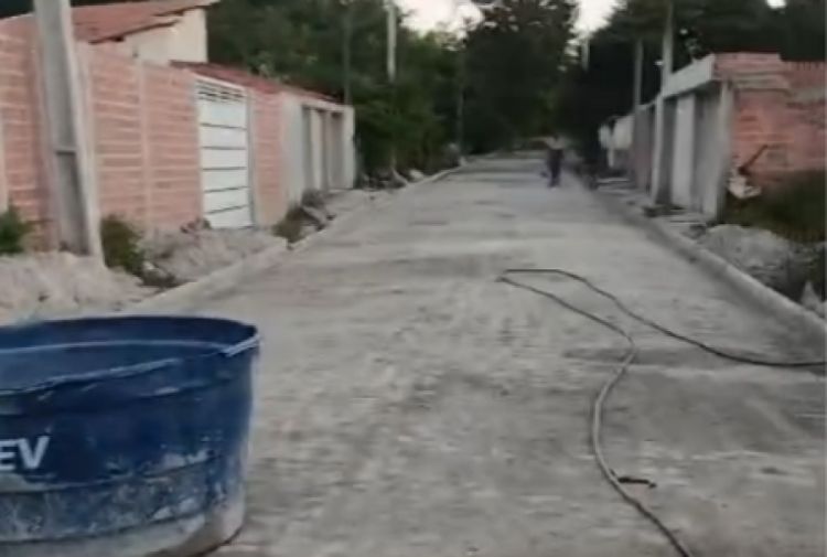 : reprodução