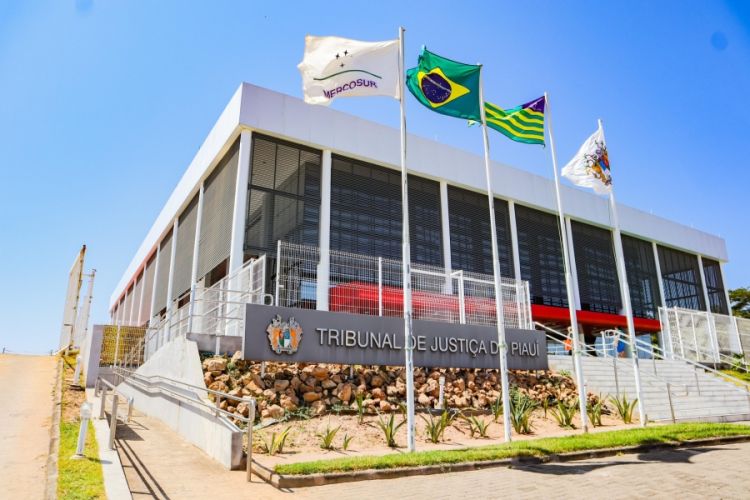 : reprodução/TJ-PI