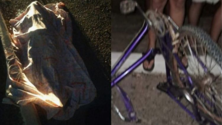 : reprodução