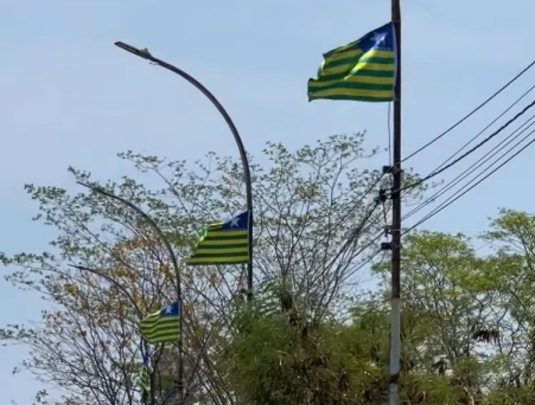 imagem: divulgação