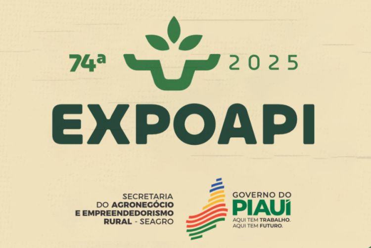imagem: divulgação/Governo do Piauí