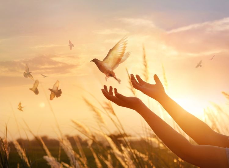 Foto: Getty Images/iStockphoto