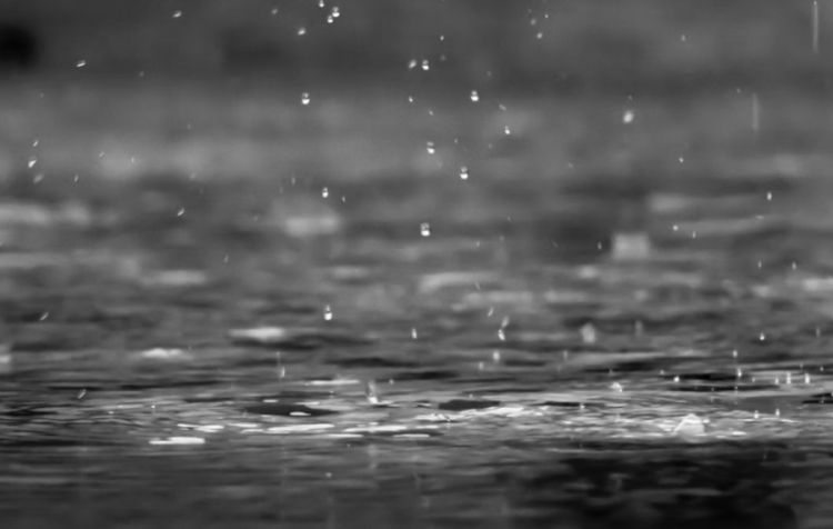 imagem ilustrativa/Unsplash