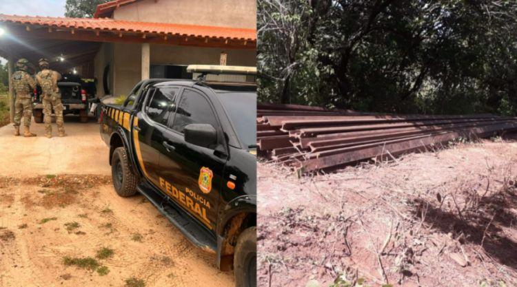 : reprodução